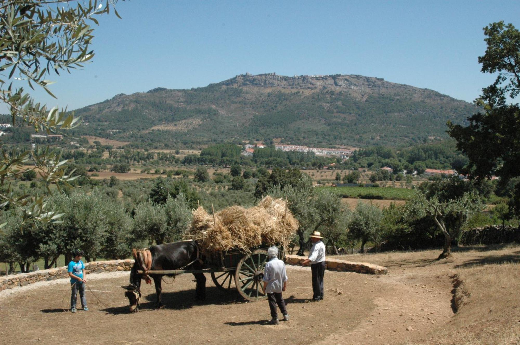 Villa Quinta Do Vaqueirinho - Agro-Turismo Marvão Exterior foto